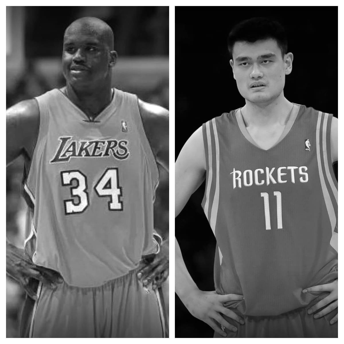 Shaquille O Neal Vs Yao Ming Stats Comparison Career All Time Stats