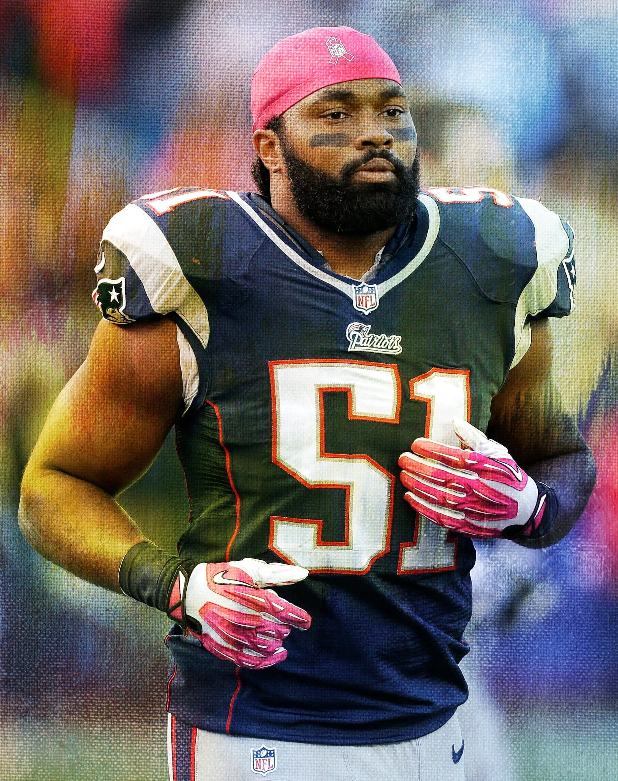 Jerod Mayo Stats