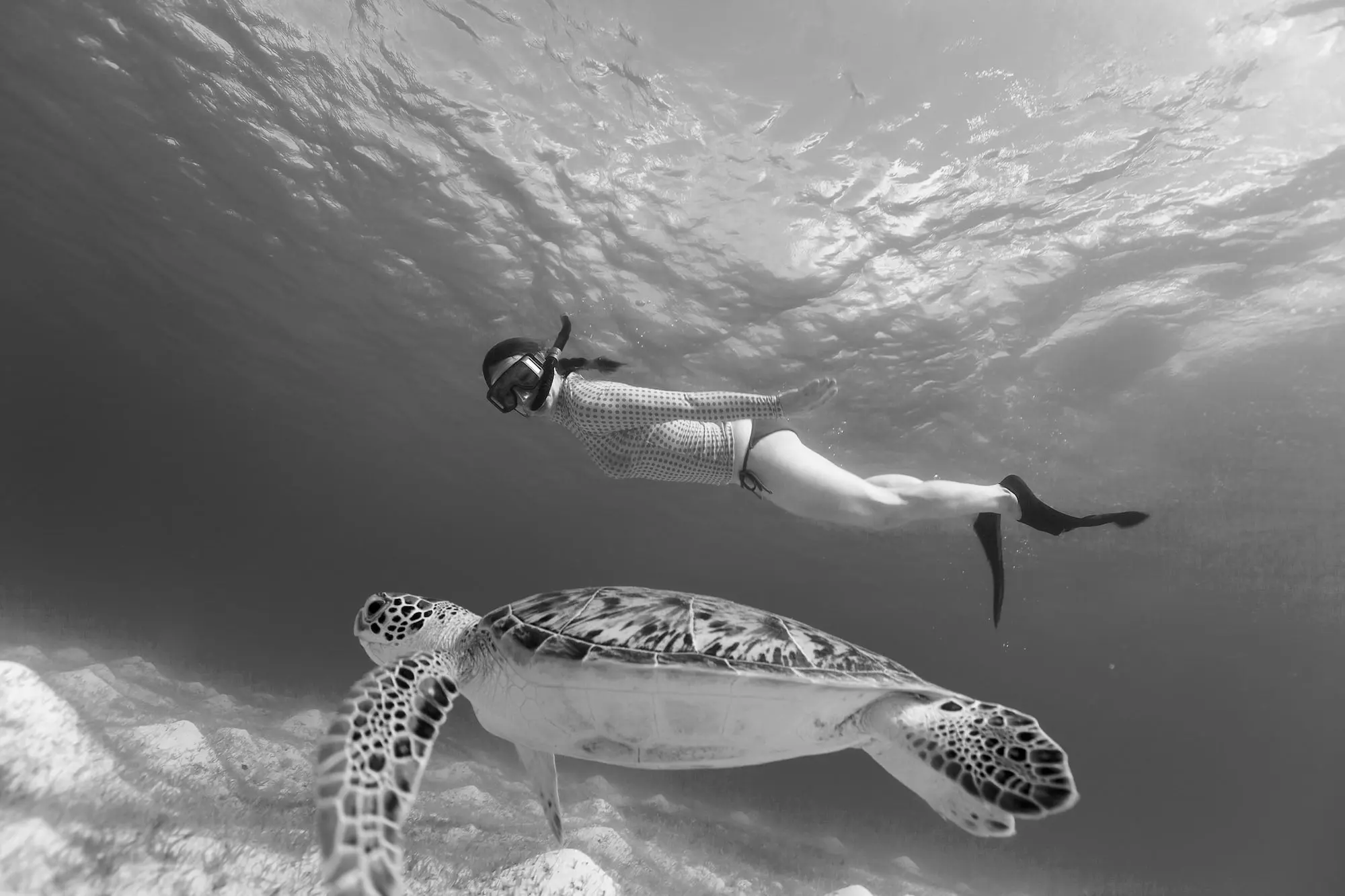 Snorkeling Swimming Lessons