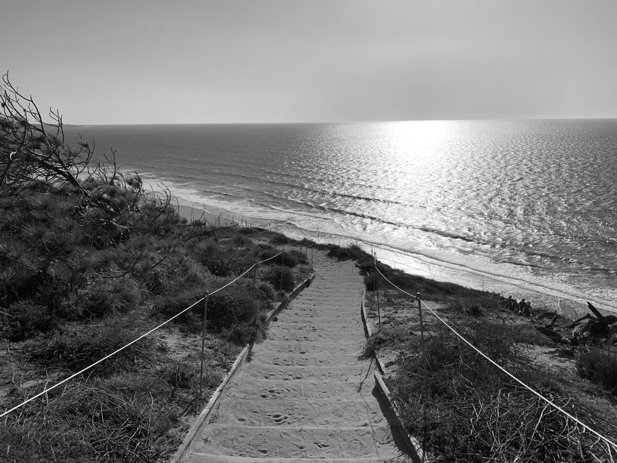 Exploring the Scenic Torrey Pines Trail