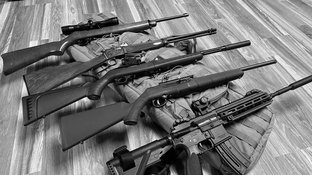 Top .22 Rifles for Every Shooter