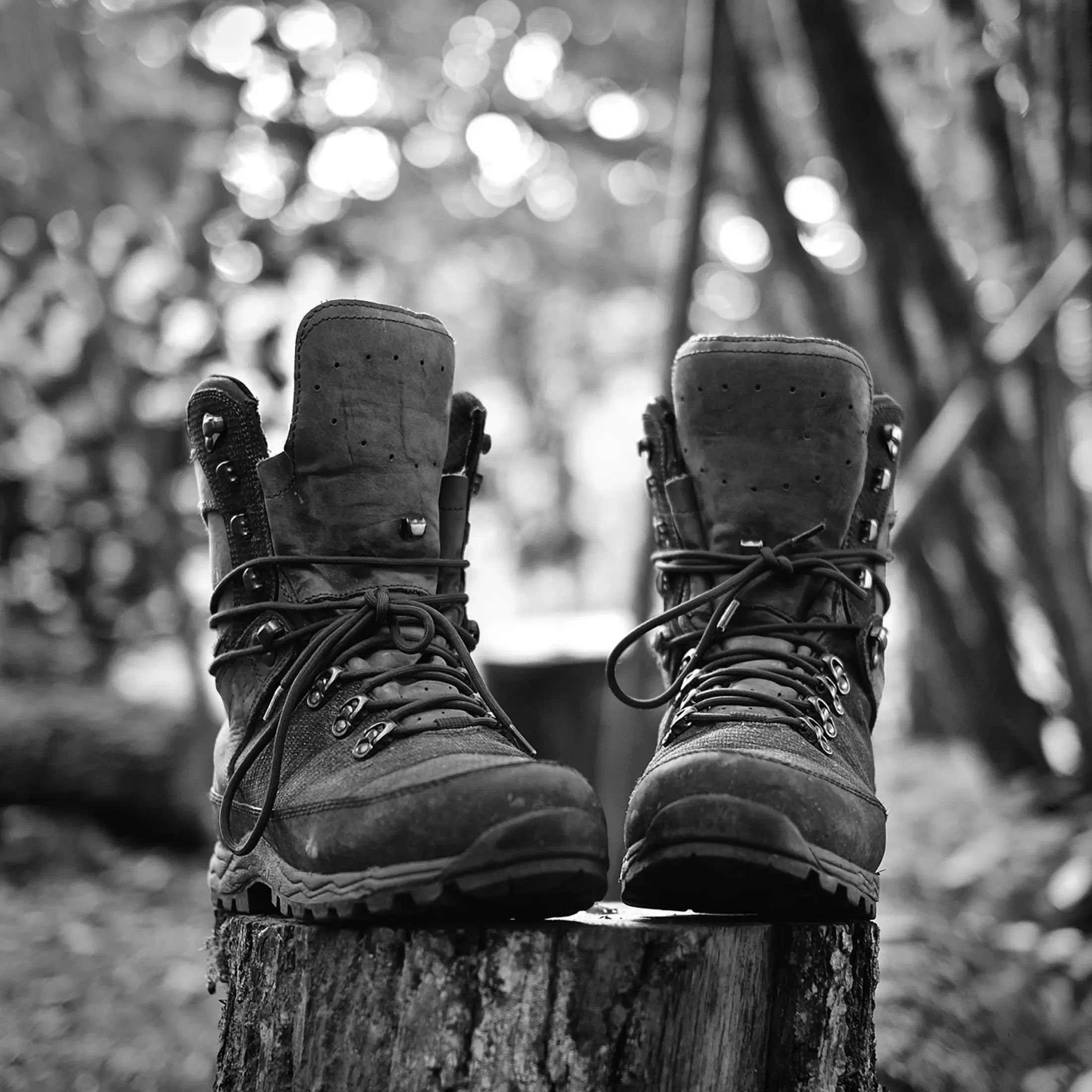 Top Hunting Boots for Every Terrain