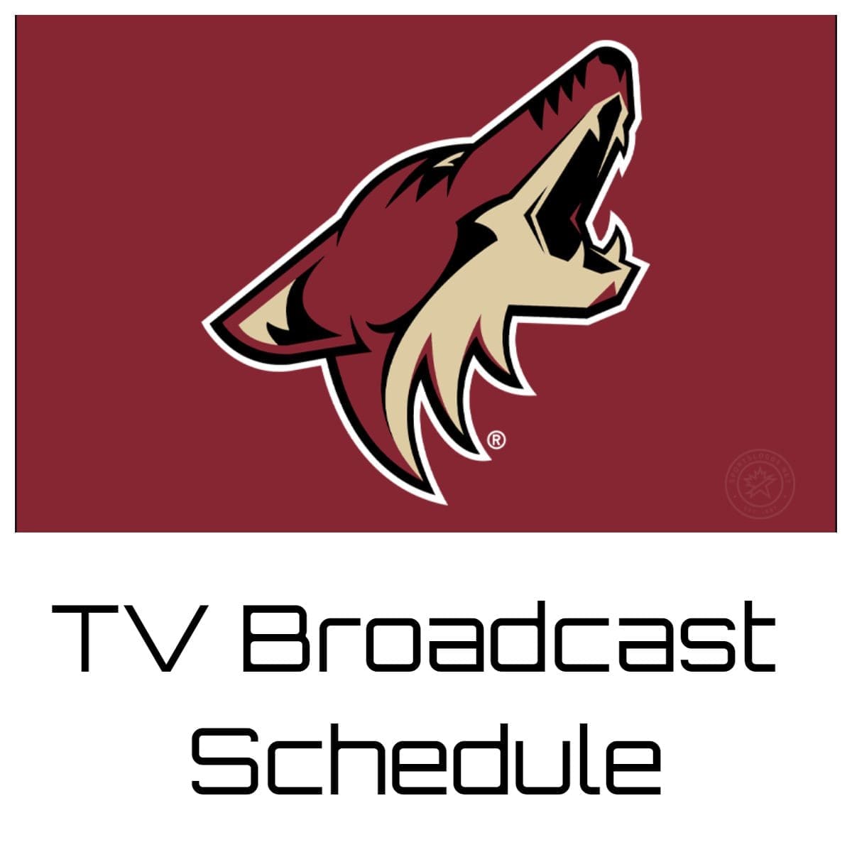 Arizona Coyotes TV Broadcast Schedule 202324 Bally Sports