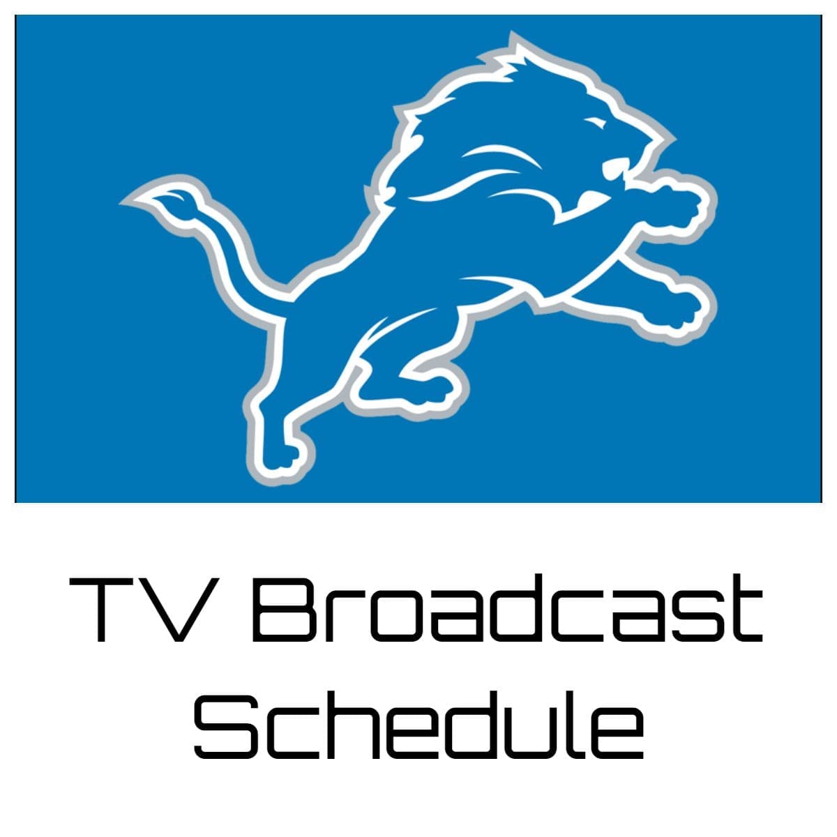 Detroit Lions TV Broadcast Schedule 202324 Printable PDF