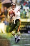 Brian Griese Stats