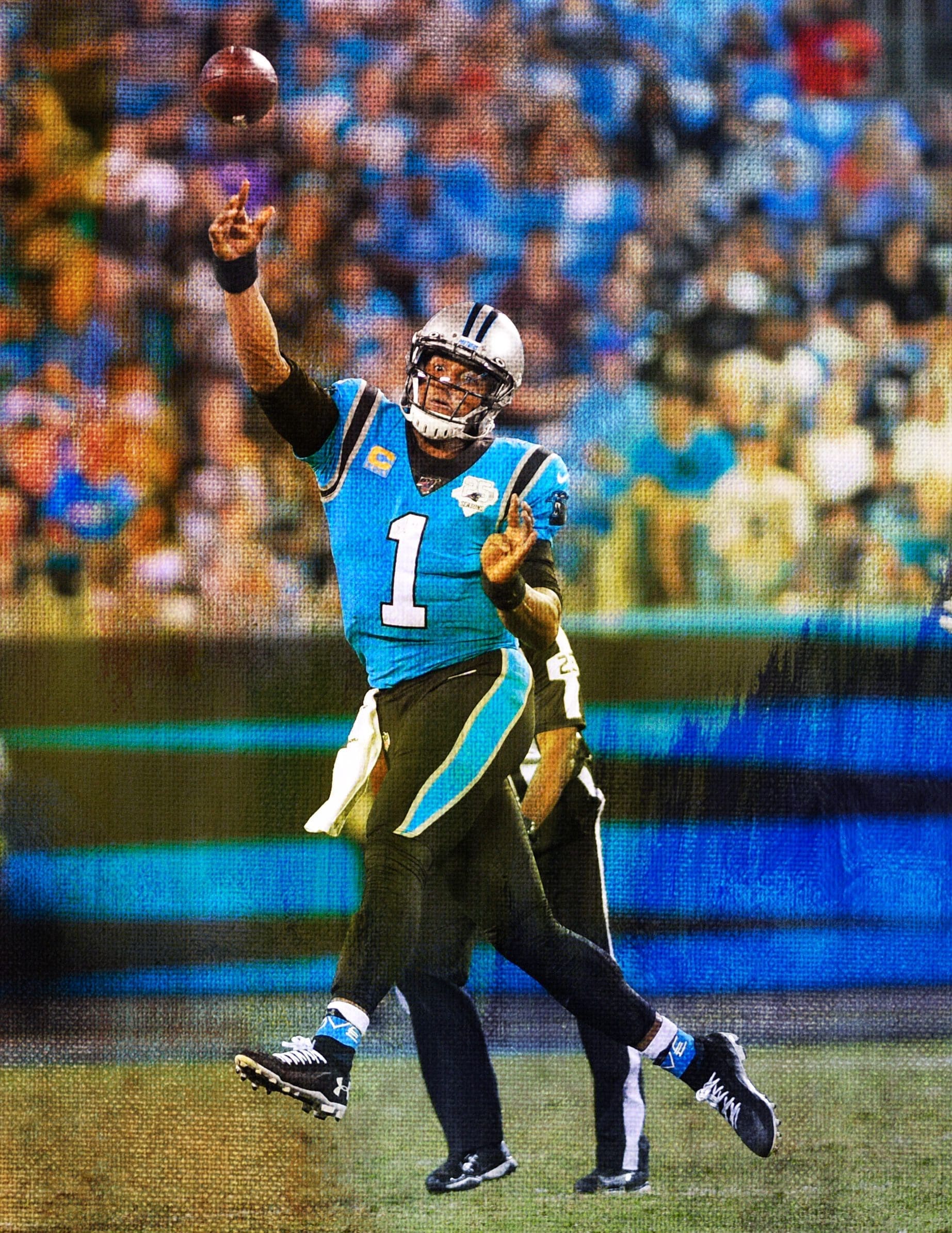 Cam Newton Stats | NFL Career, Season, and Playoff Statistics