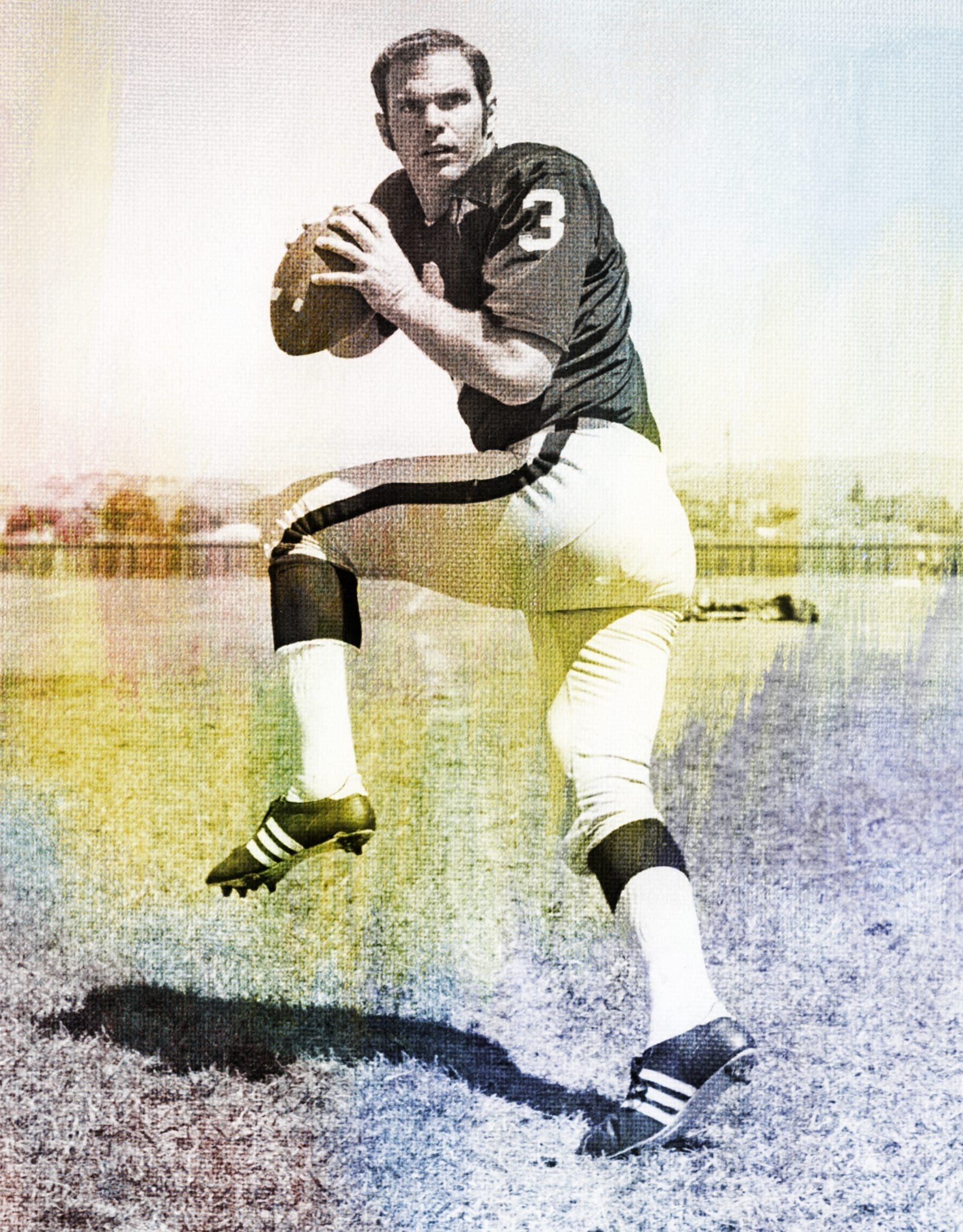 Daryle Lamonica Stats