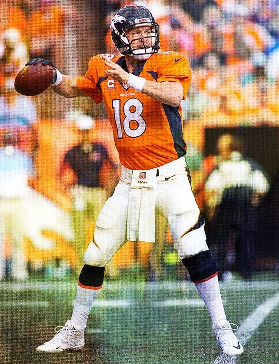 Peyton Manning Stats