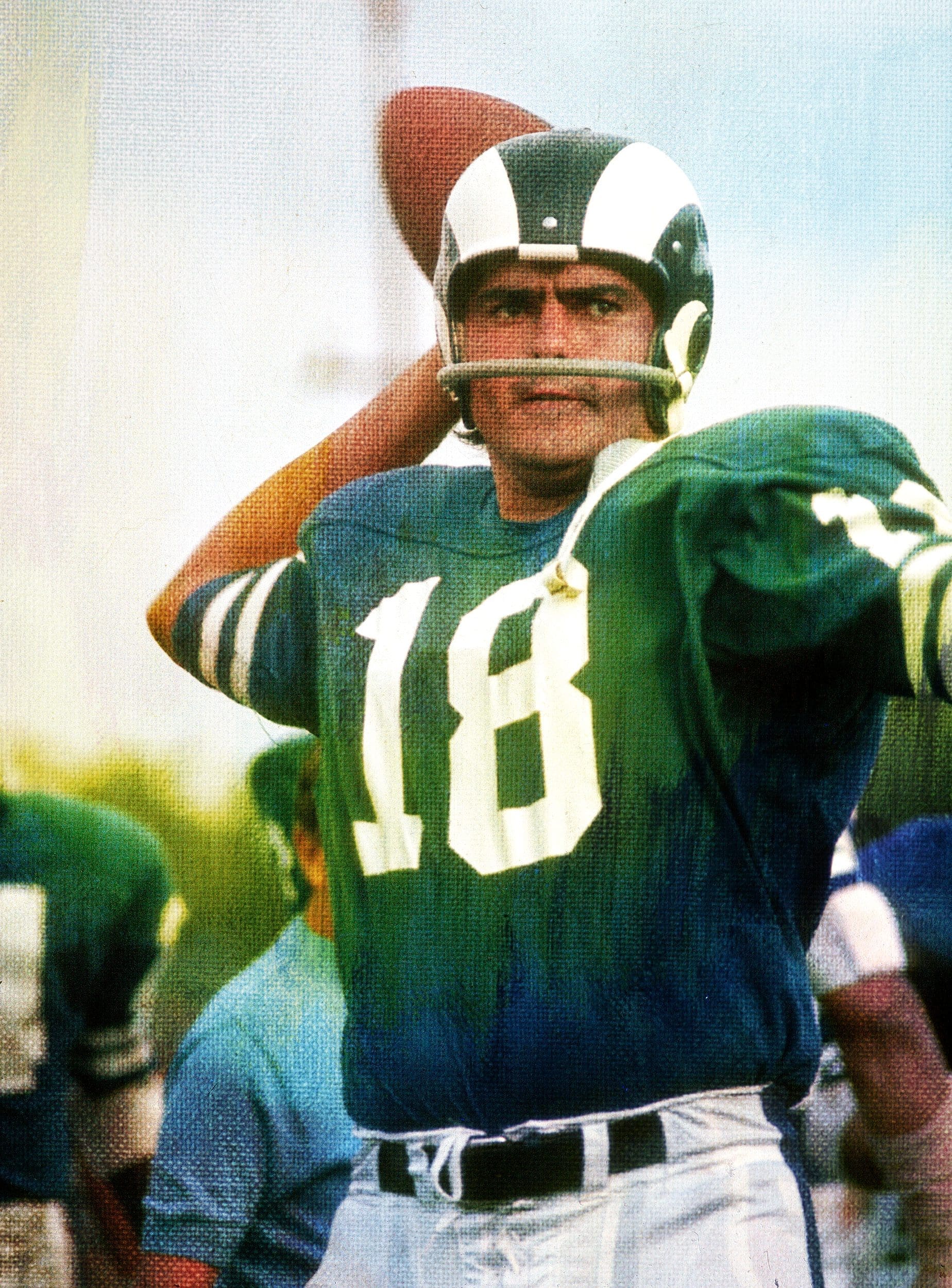 Roman Gabriel Facts & Stats