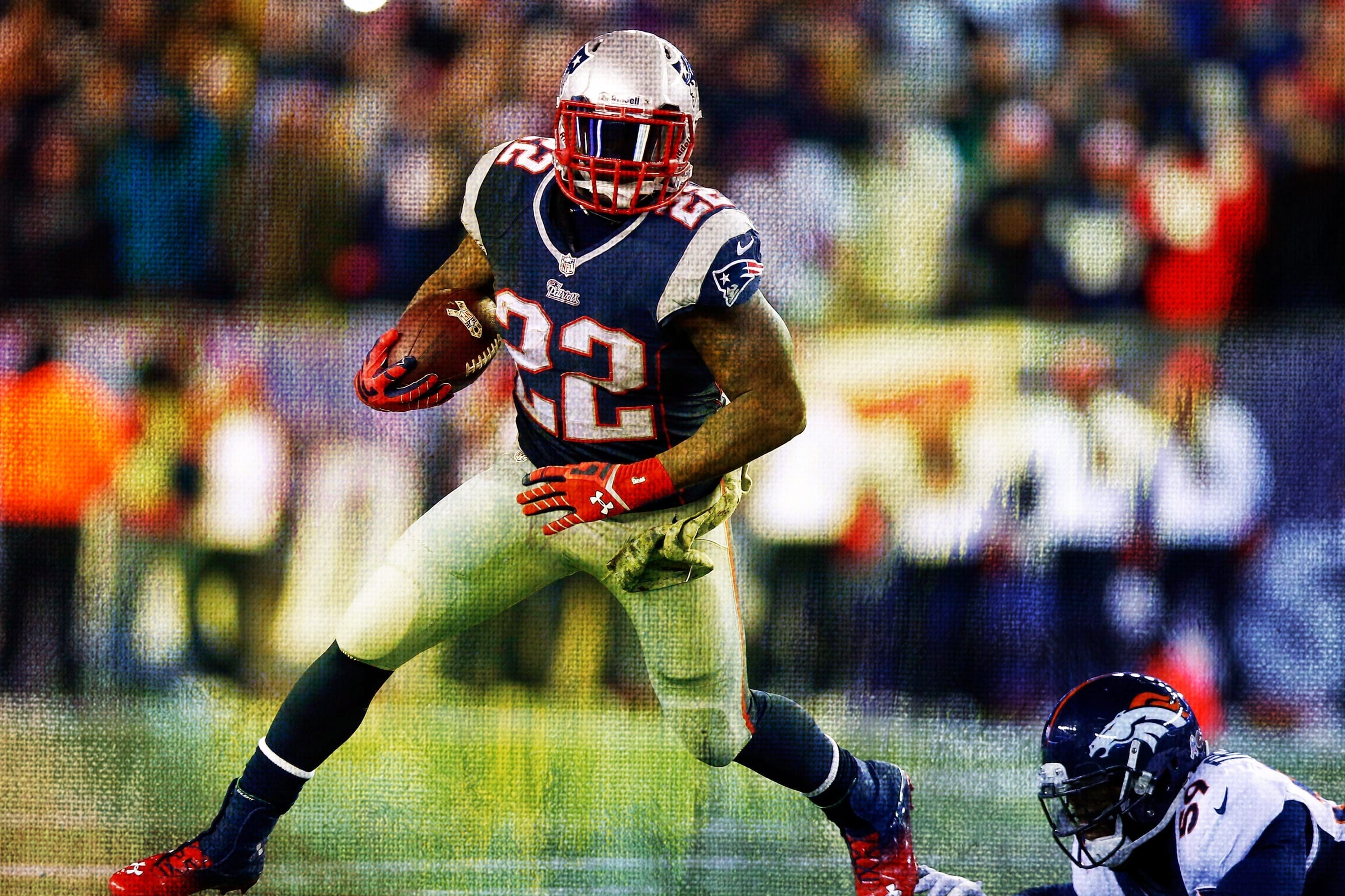 Stevan Ridley Stats