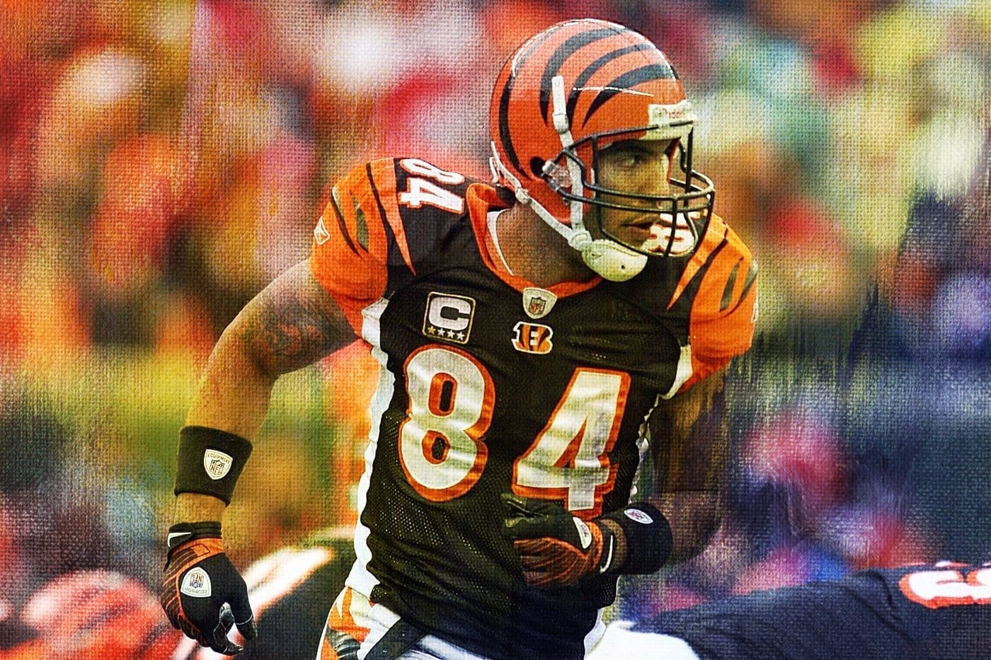 T.J. Houshmandzadeh Stats