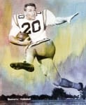 Billy Cannon Stats