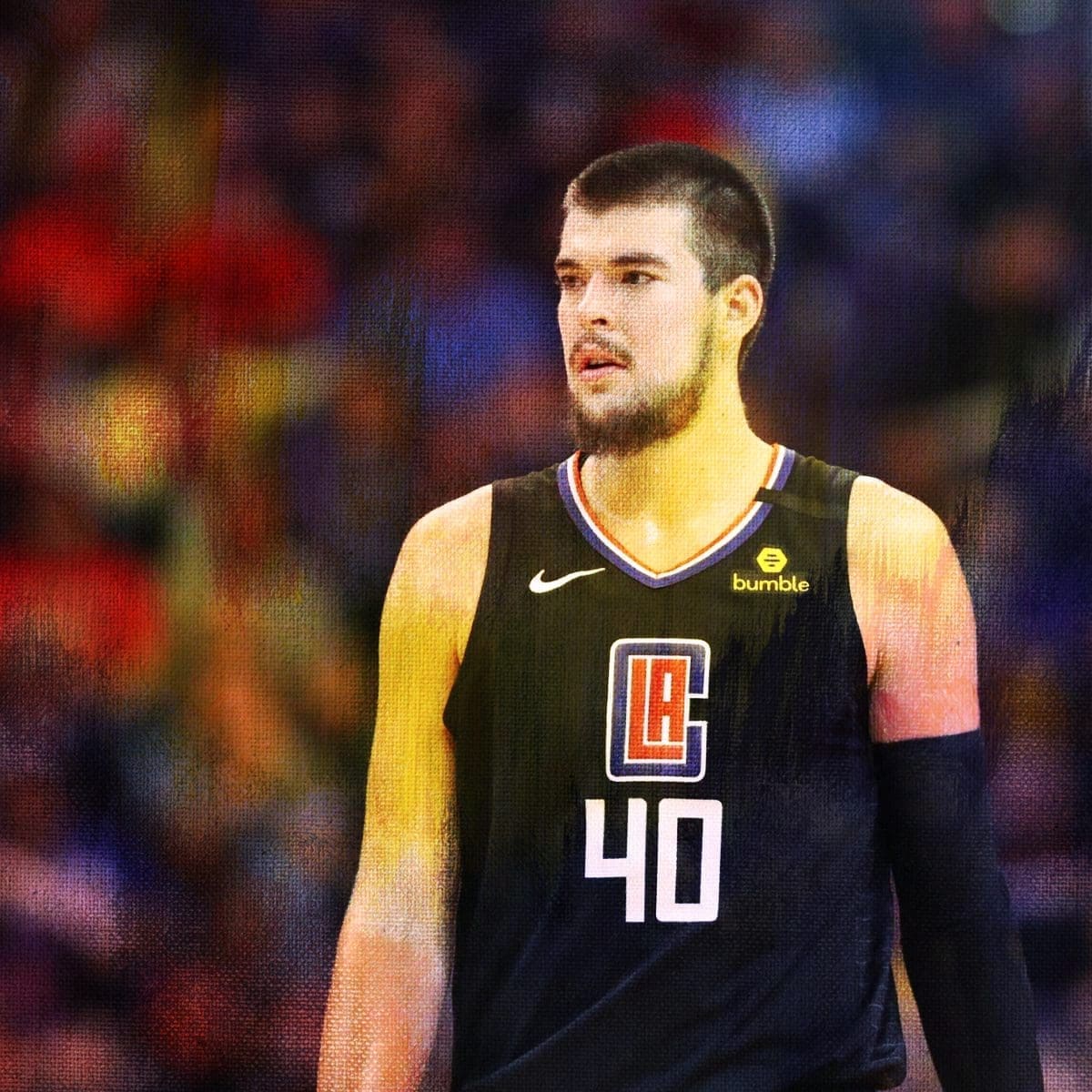 Ivica Zubac Stats