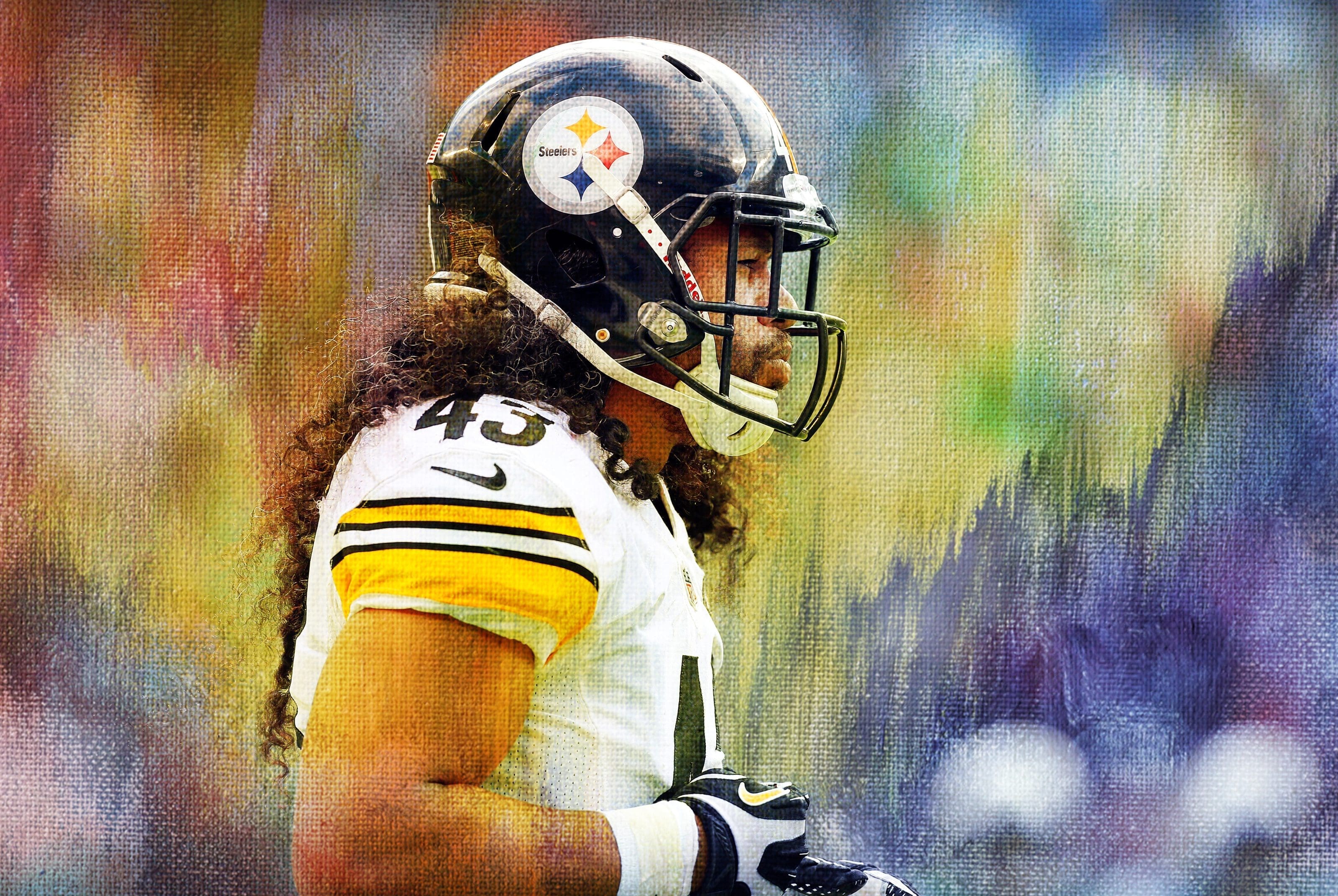 Troy Polamalu Stats