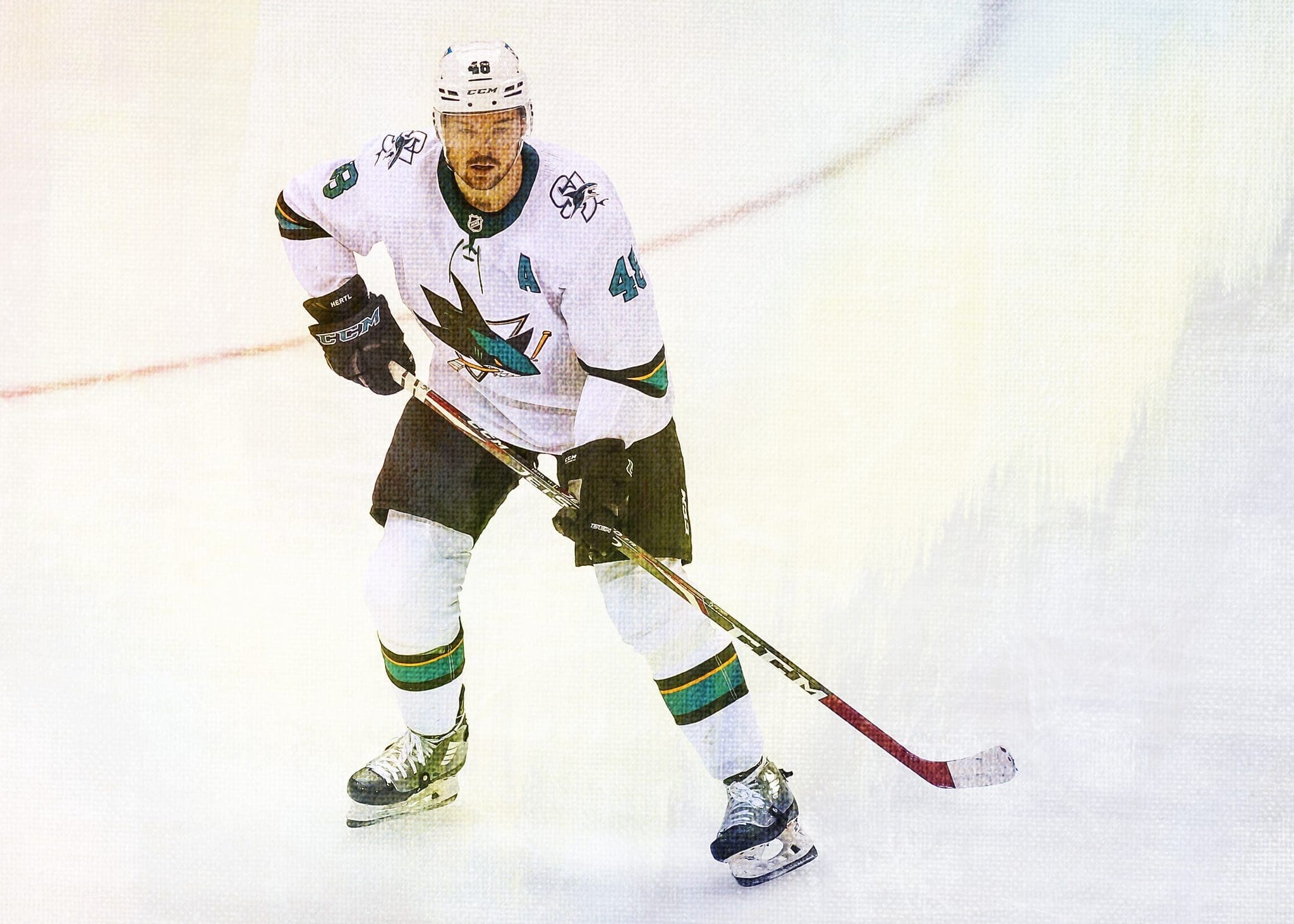 Tomas Hertl Stats