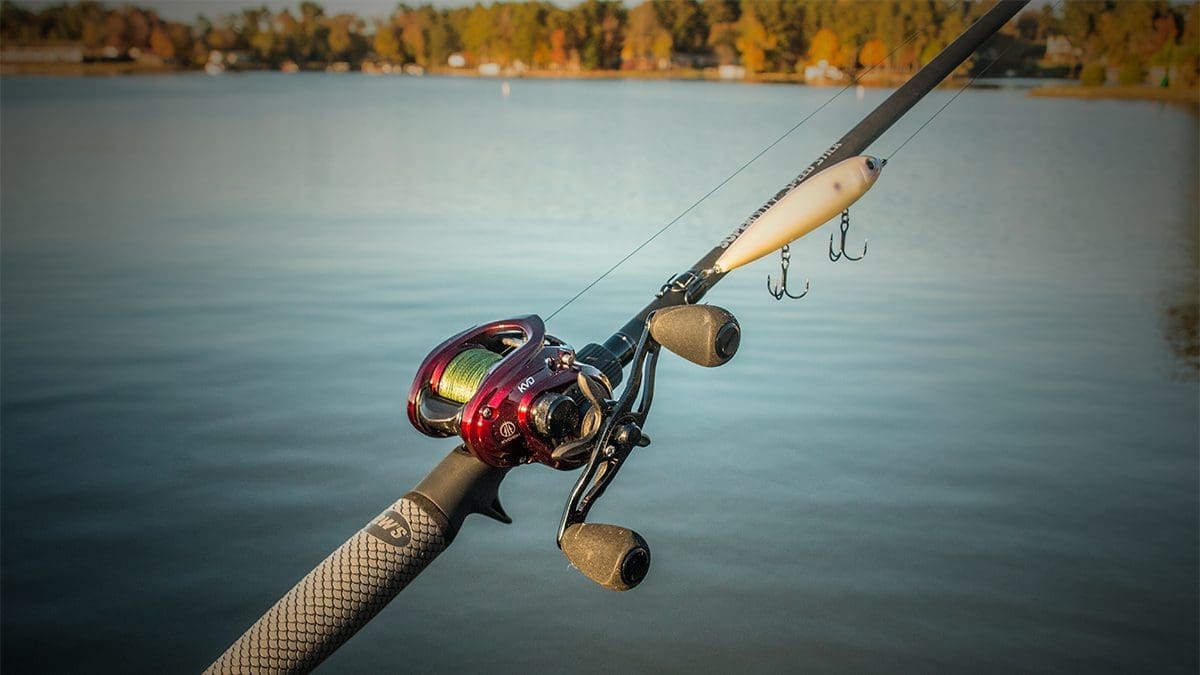 Casting Rods