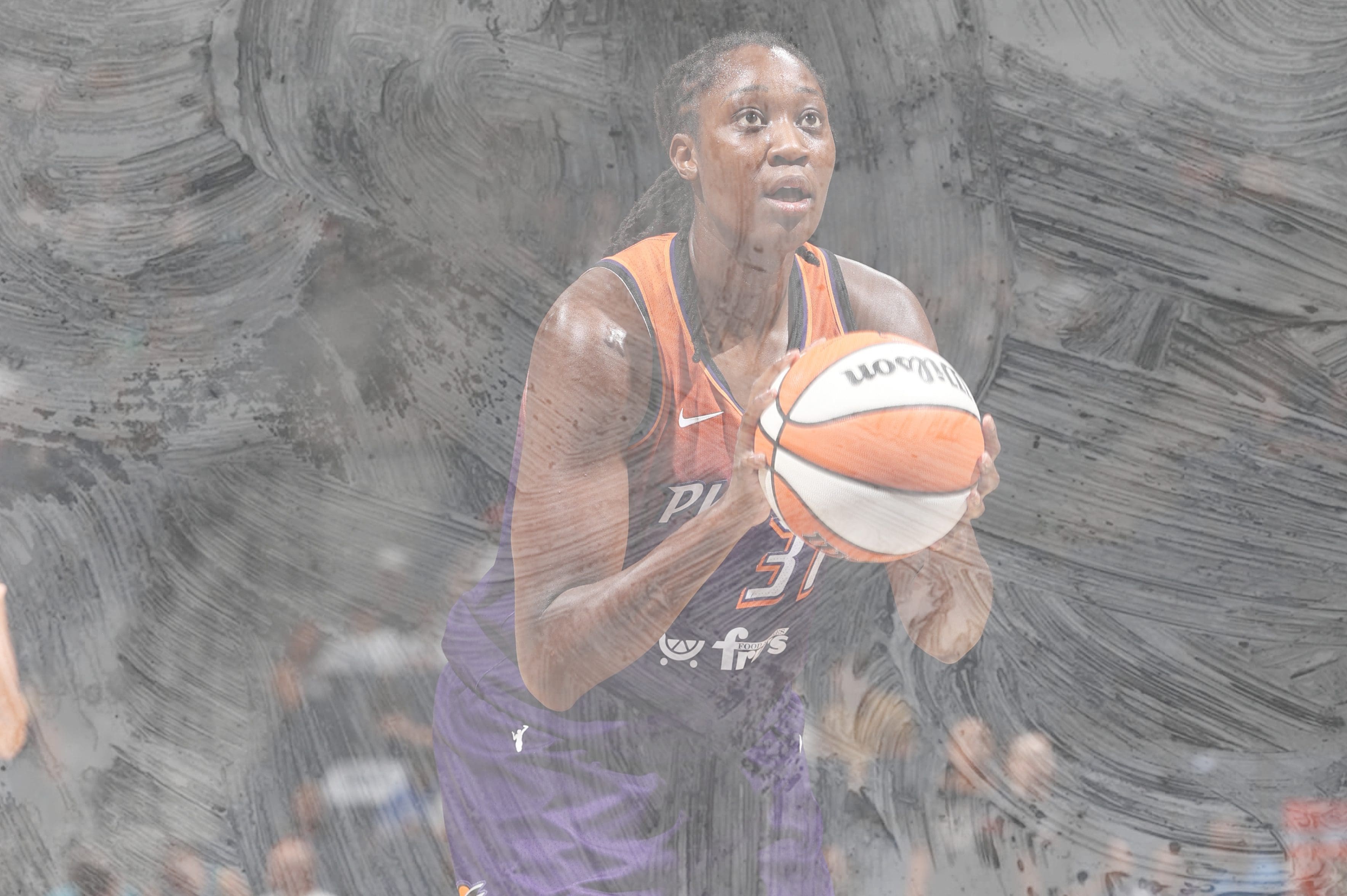 Tina Charles Stats