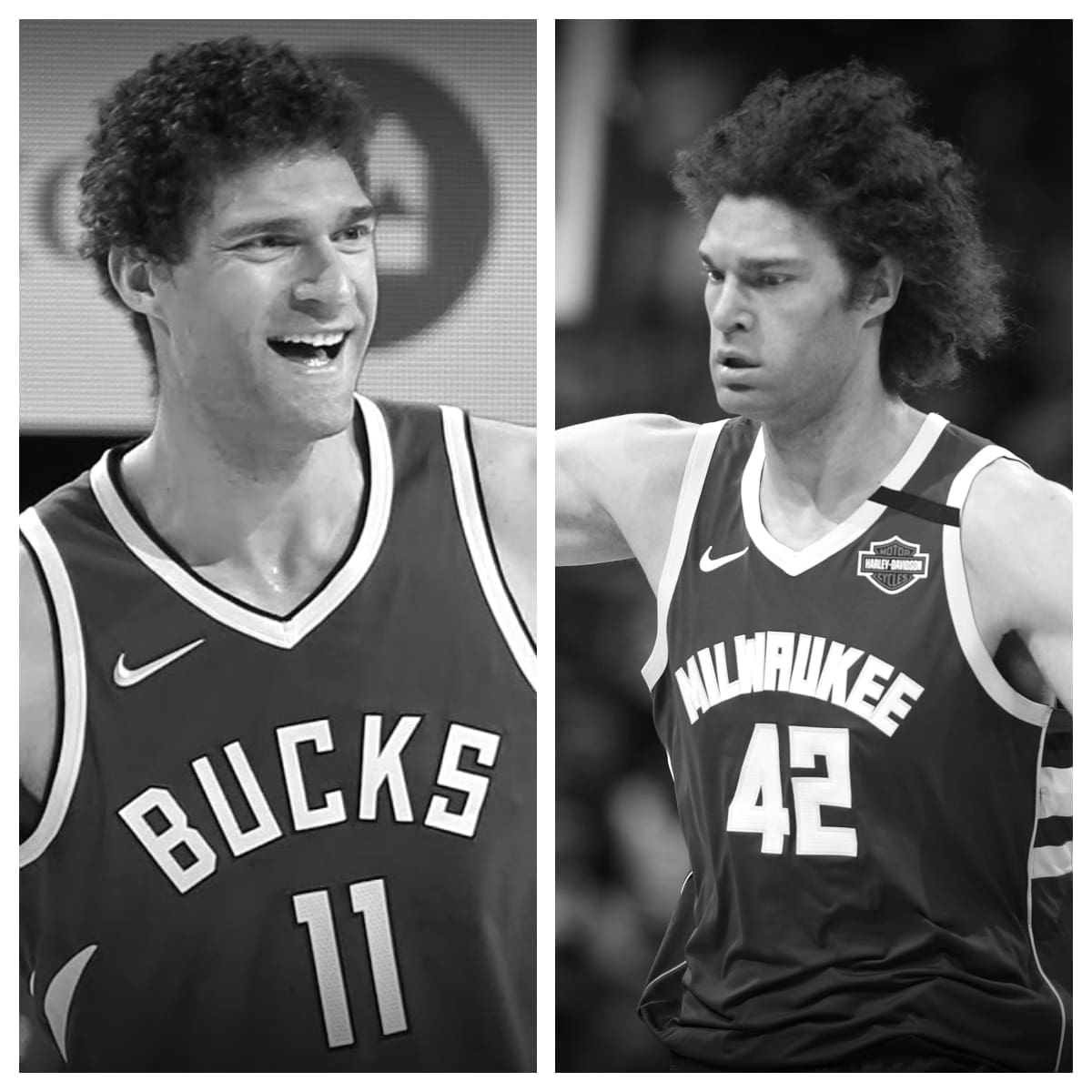 Brook Lopez vs Robin Lopez