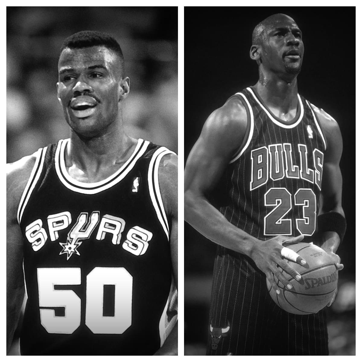 David Robinson vs Michael Jordan