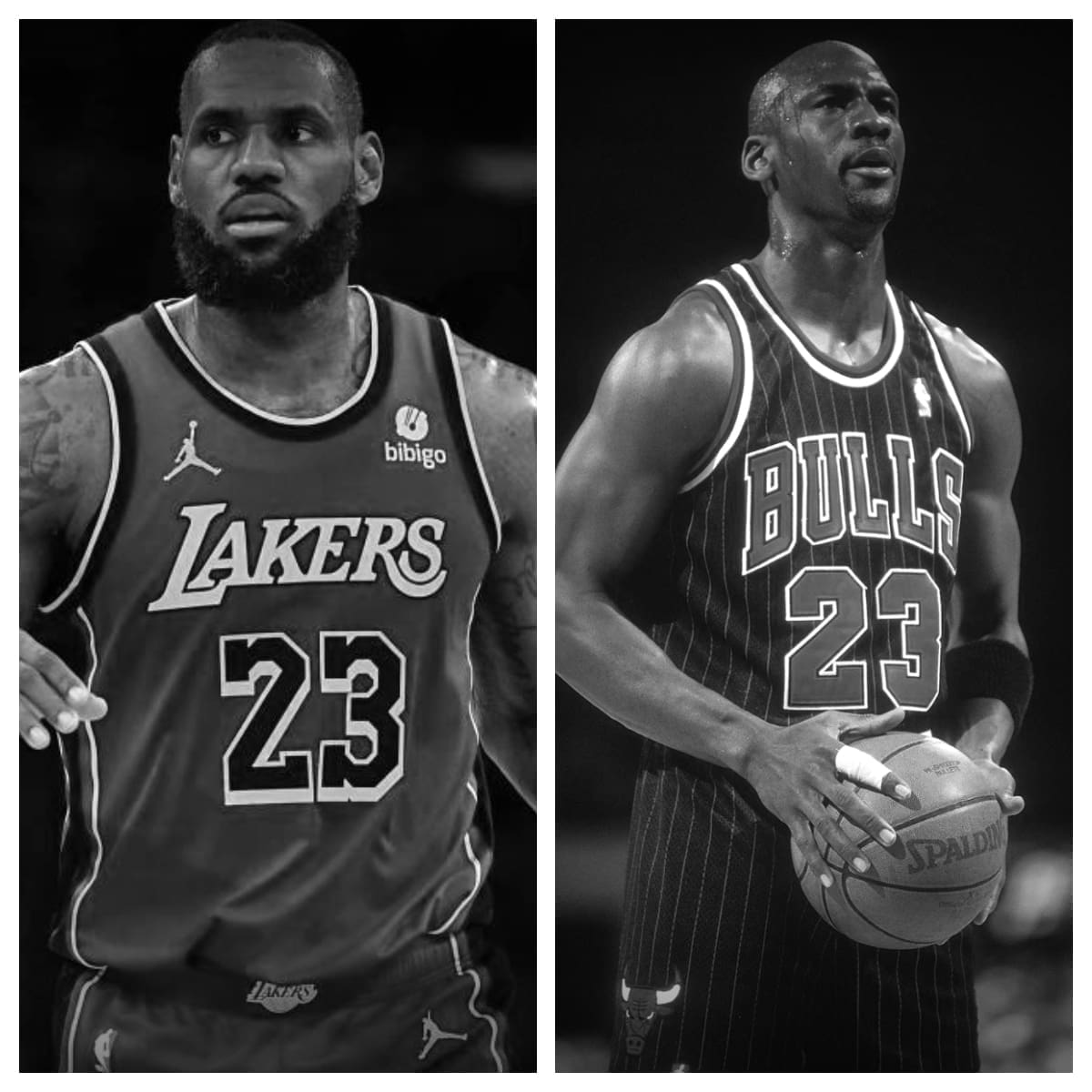 LeBron James vs Michael Jordan