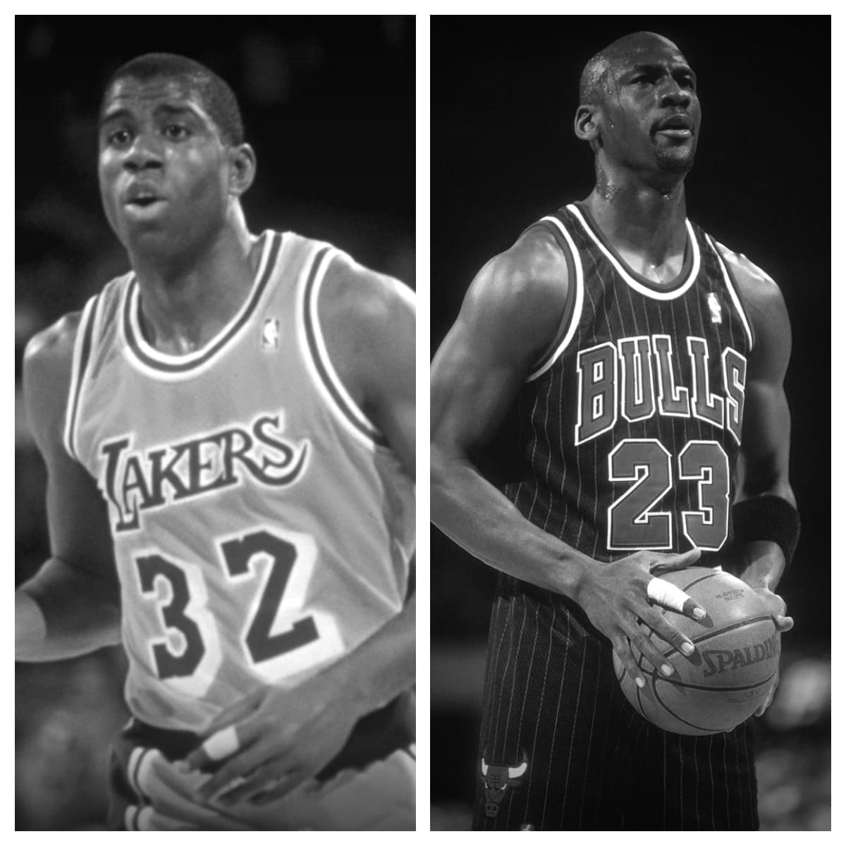 Magic Johnson vs Michael Jordan Stats Comparison | Career All Time Stats