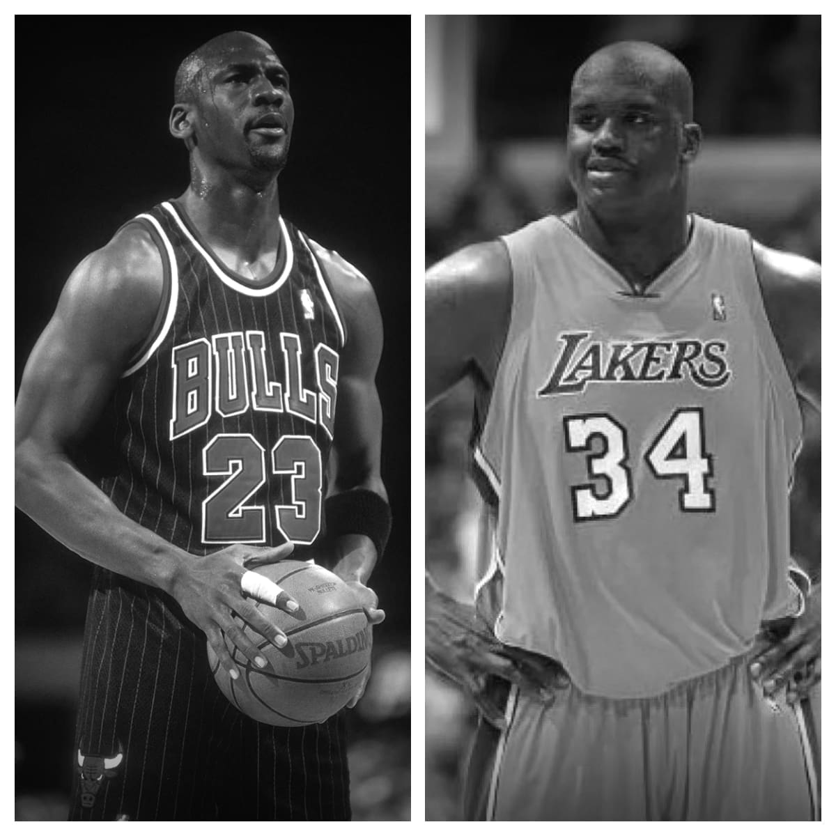 Michael Jordan vs Shaquille O'Neal Stats Comparison | Career All Time Stats