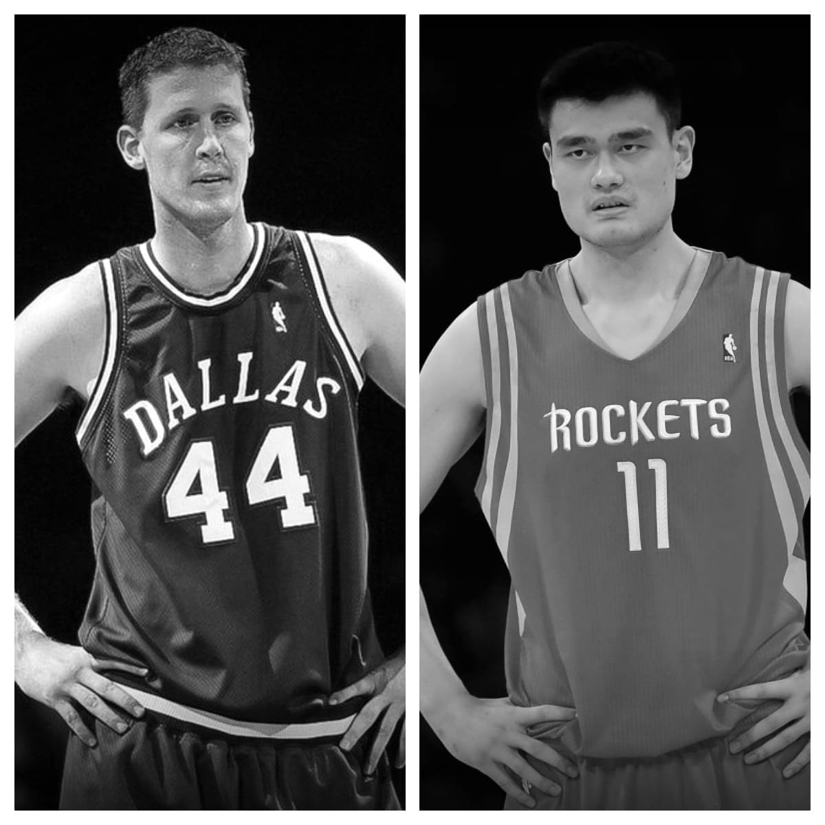 Shawn Bradley vs Yao Ming