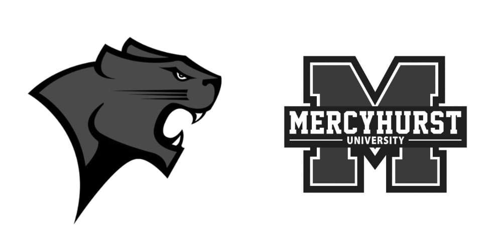 Chicago State Cougars vs Mercyhurst University Lakers Stats