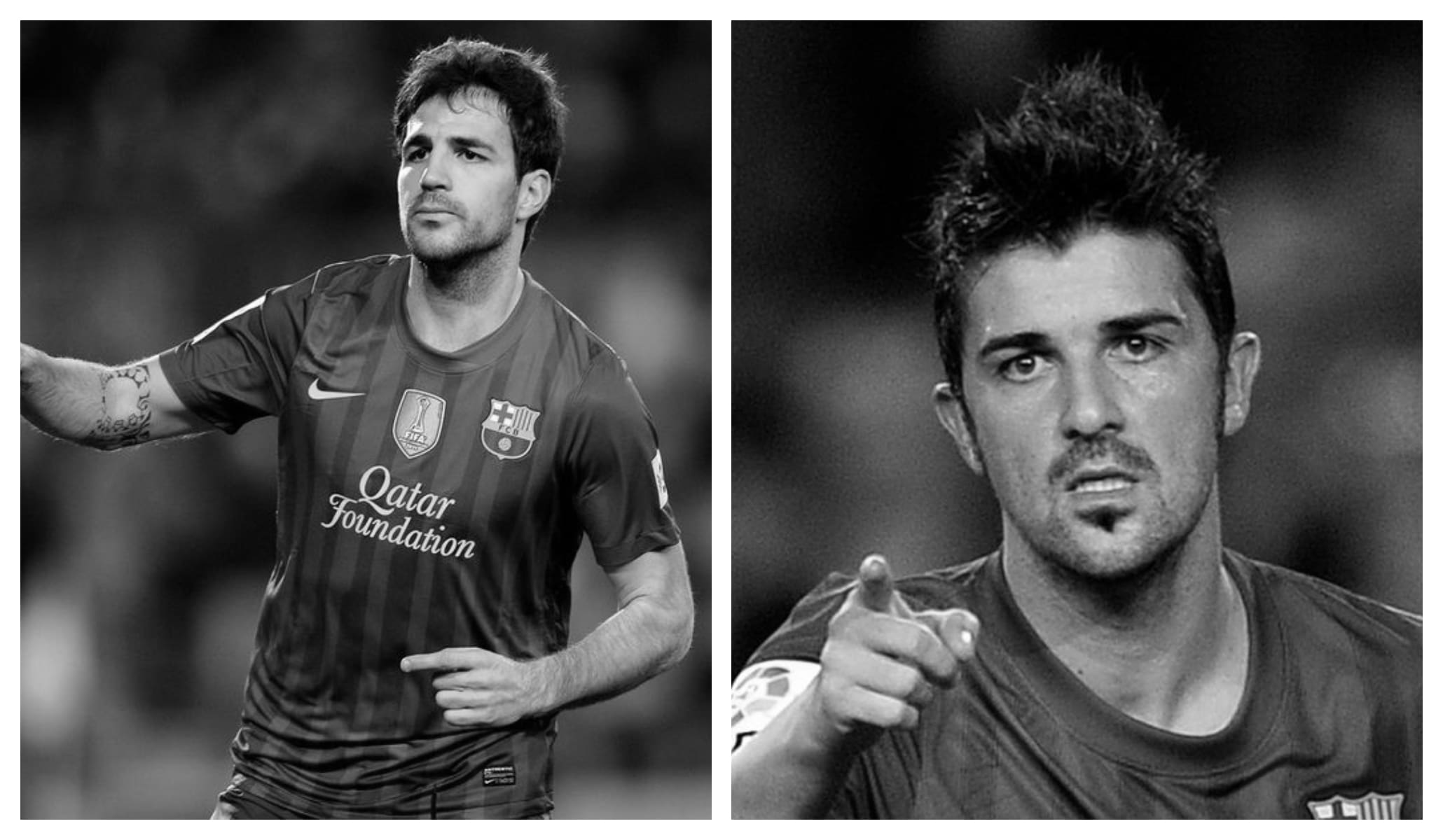 Cesc Fabregas vs David Villa Stats