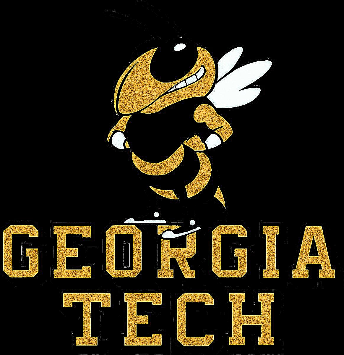 Georgia Tech Yellow Jackets Football Injury Report