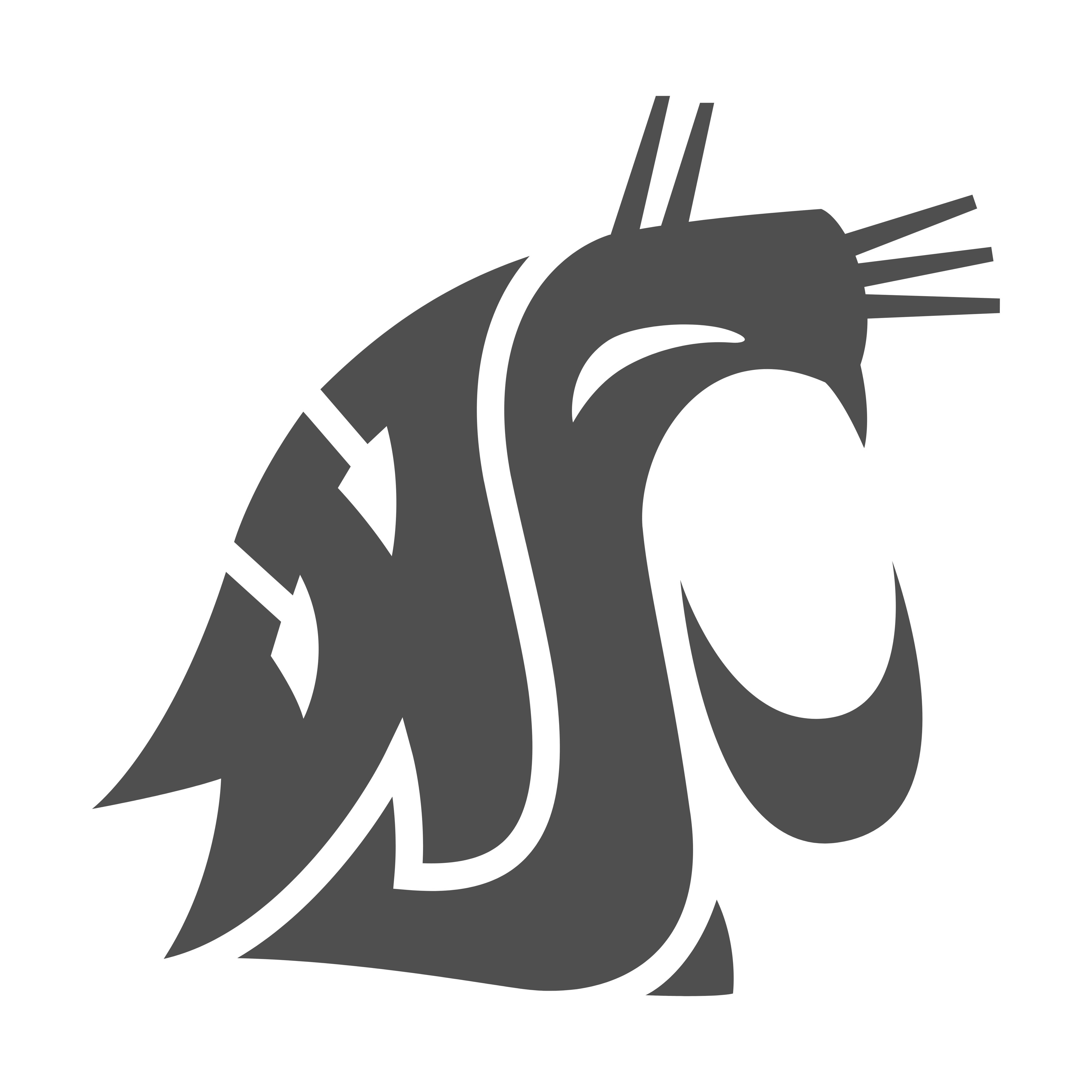 Washington State Cougars Basketball Injury Report