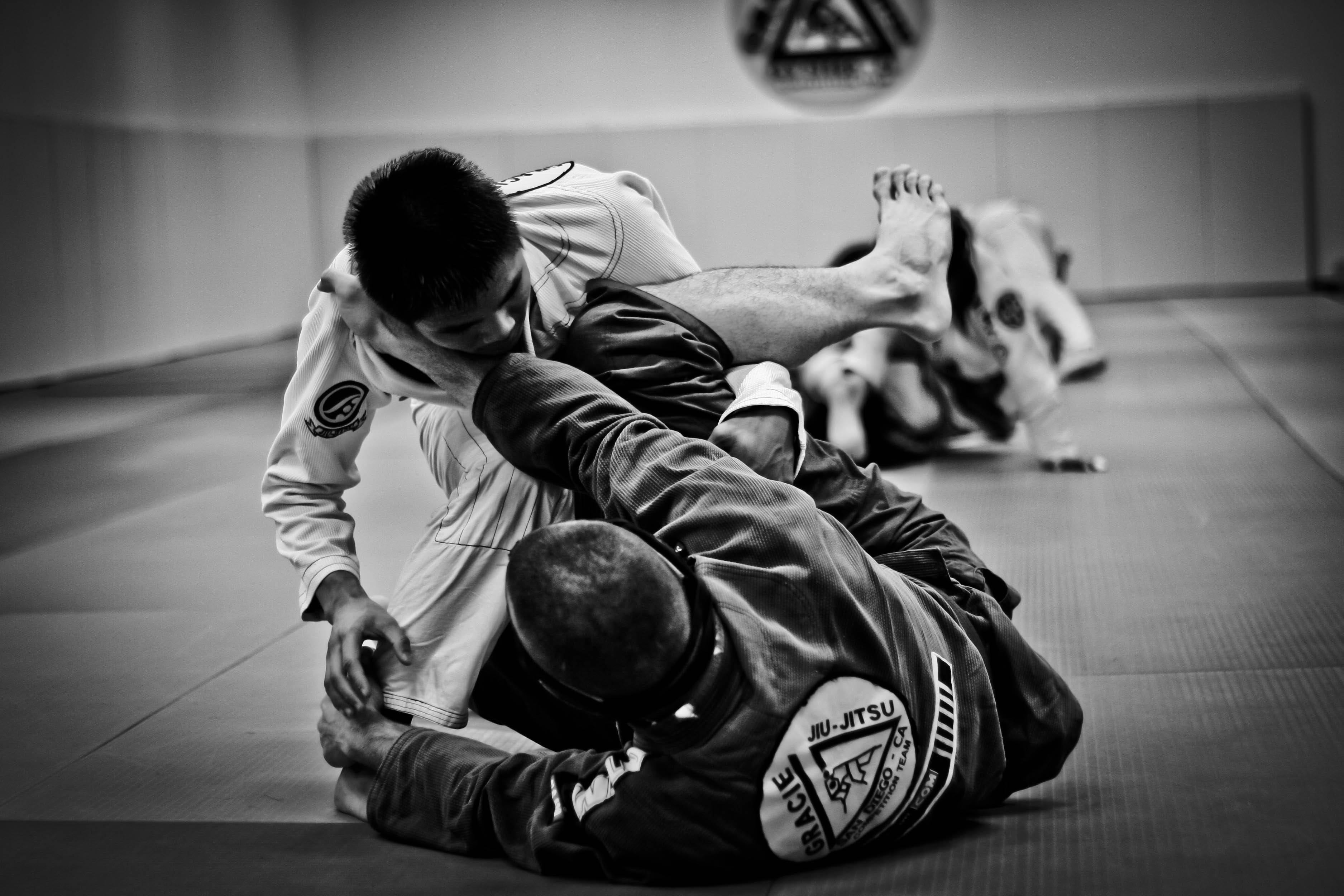 BJJ Brazilian Jiu Jitsu 49