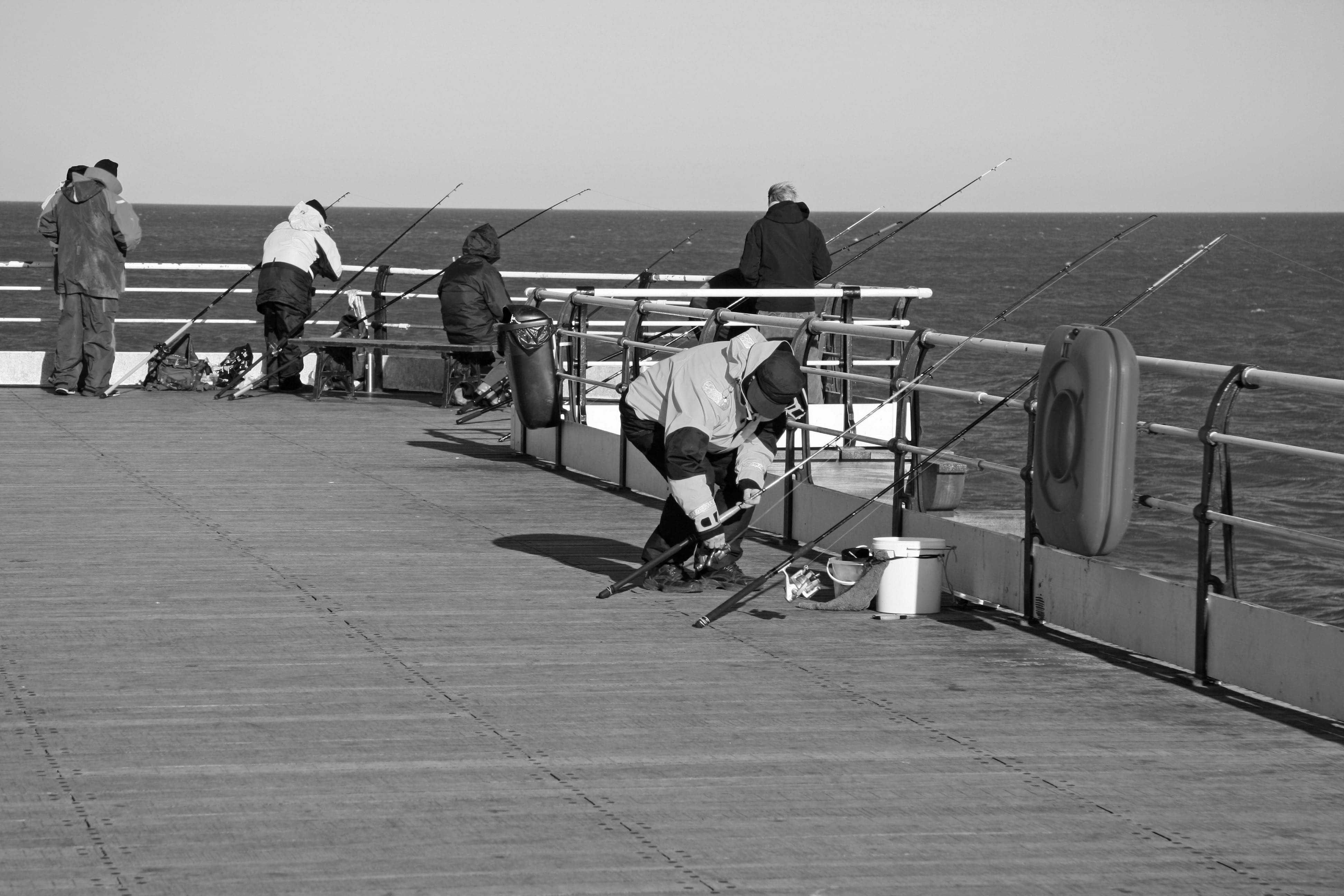 Fishing From Pier 14