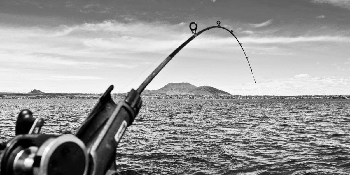 Fishing Poles 62