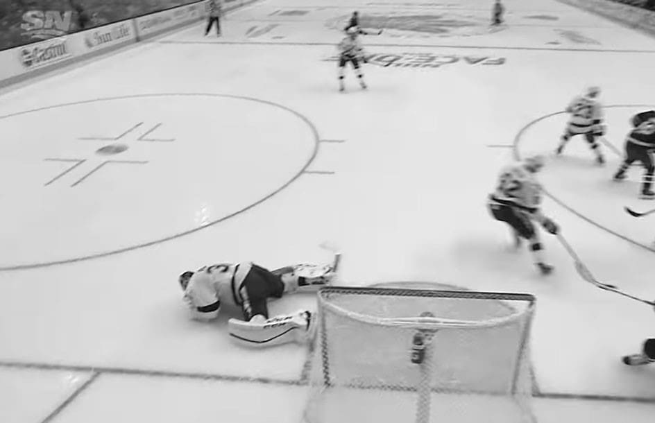 Hockey Goalie Stopping Shot (2)