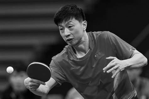 Ma Long Ping Pong