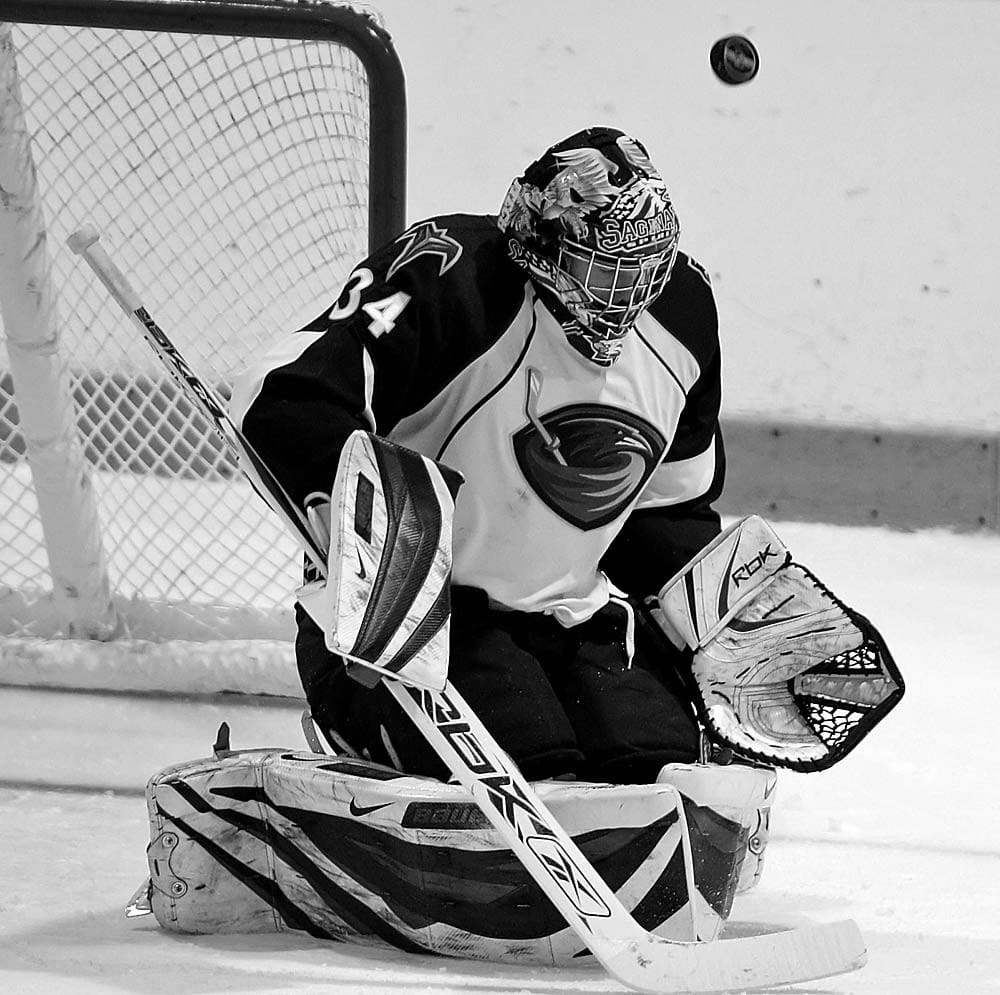 NHL Goalie 2