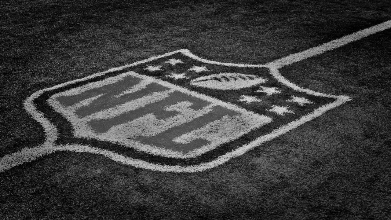 Nfl Football Field (5)