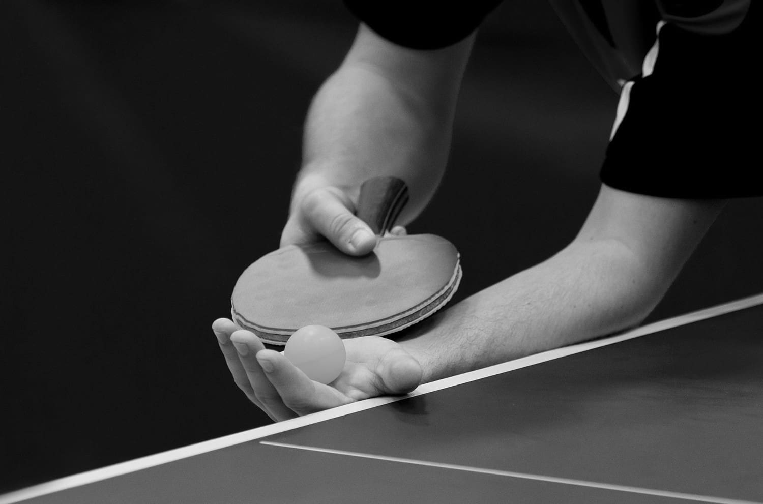 Pro Table Tennis Ping Pong 116