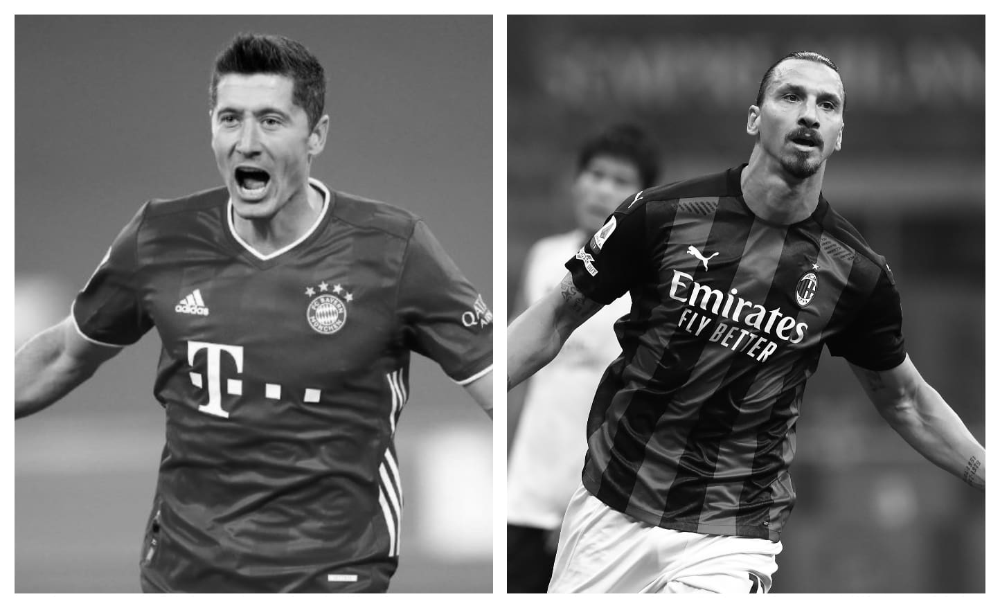 Robert Lewandowski vs Zlatan Ibrahimovic Stats