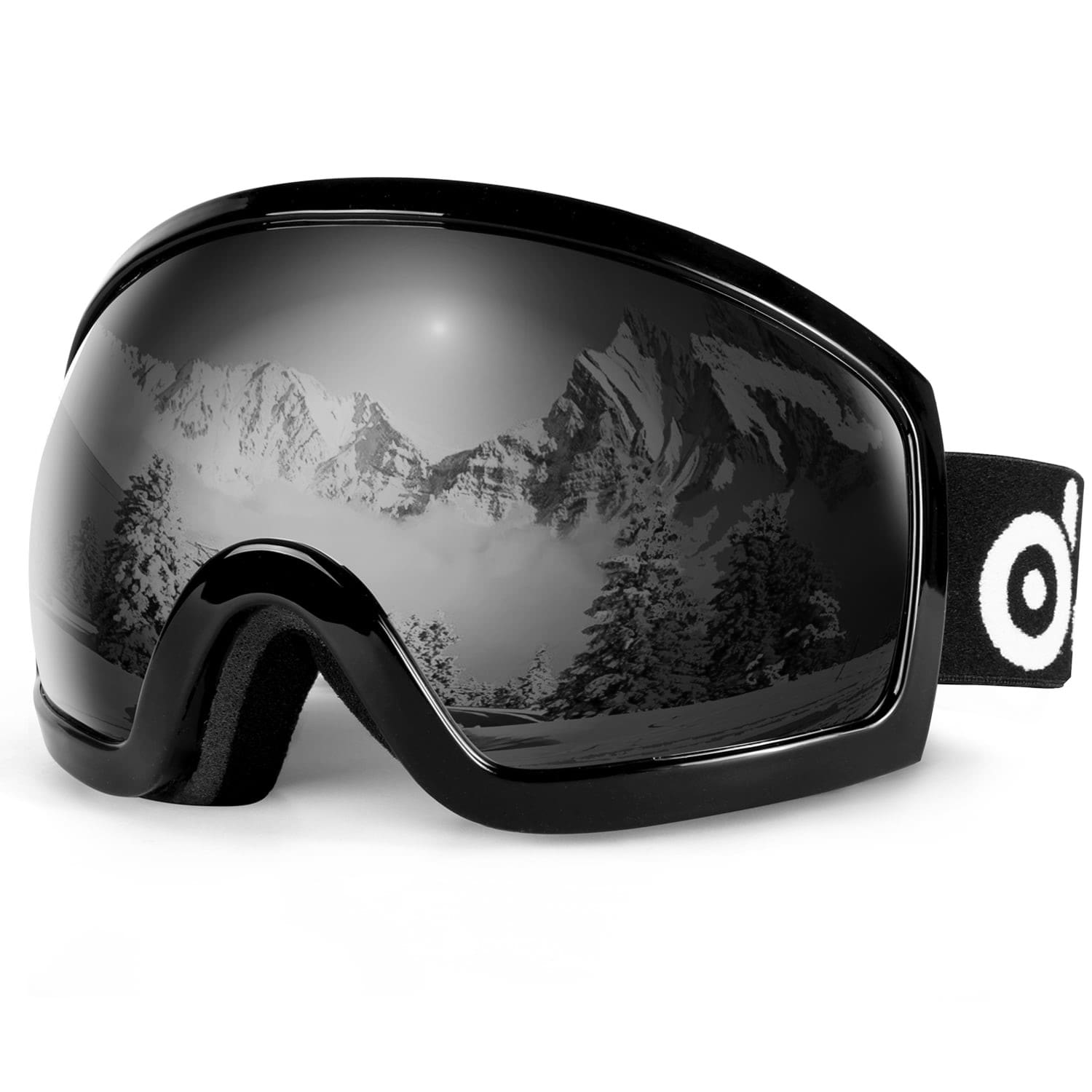 Ski Goggles