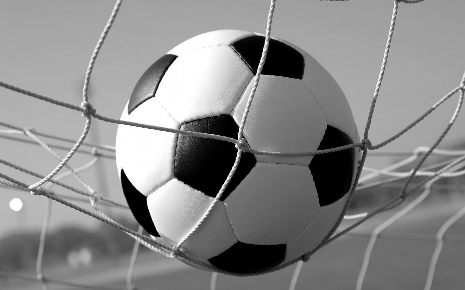 Soccer Ball 55