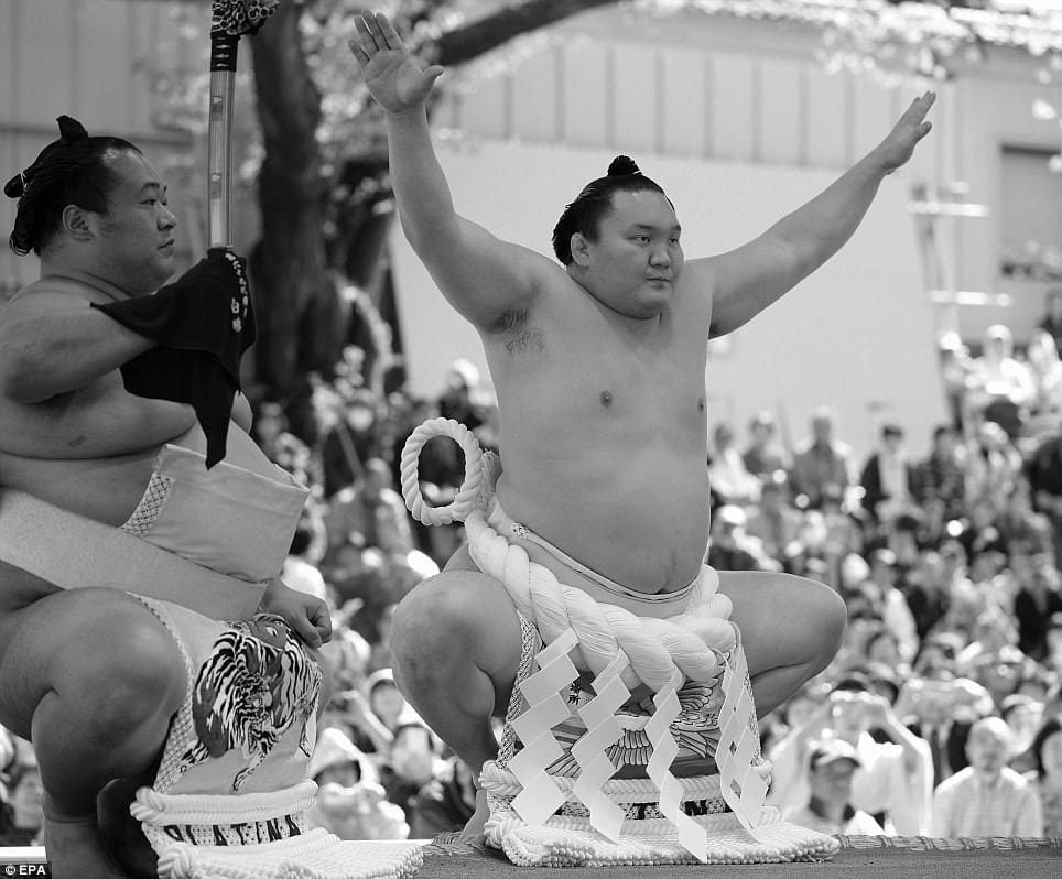 Sumo Wrestling 10