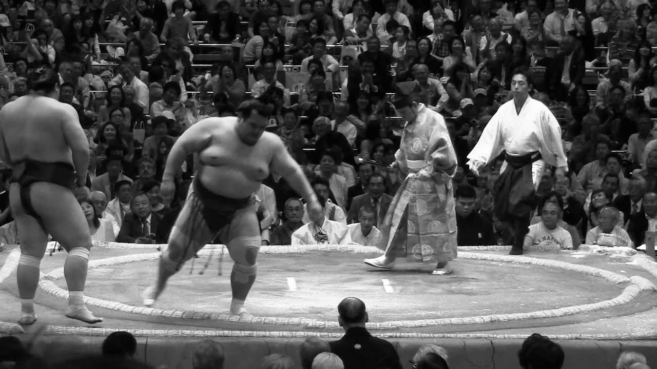 Sumo Wrestling Throw