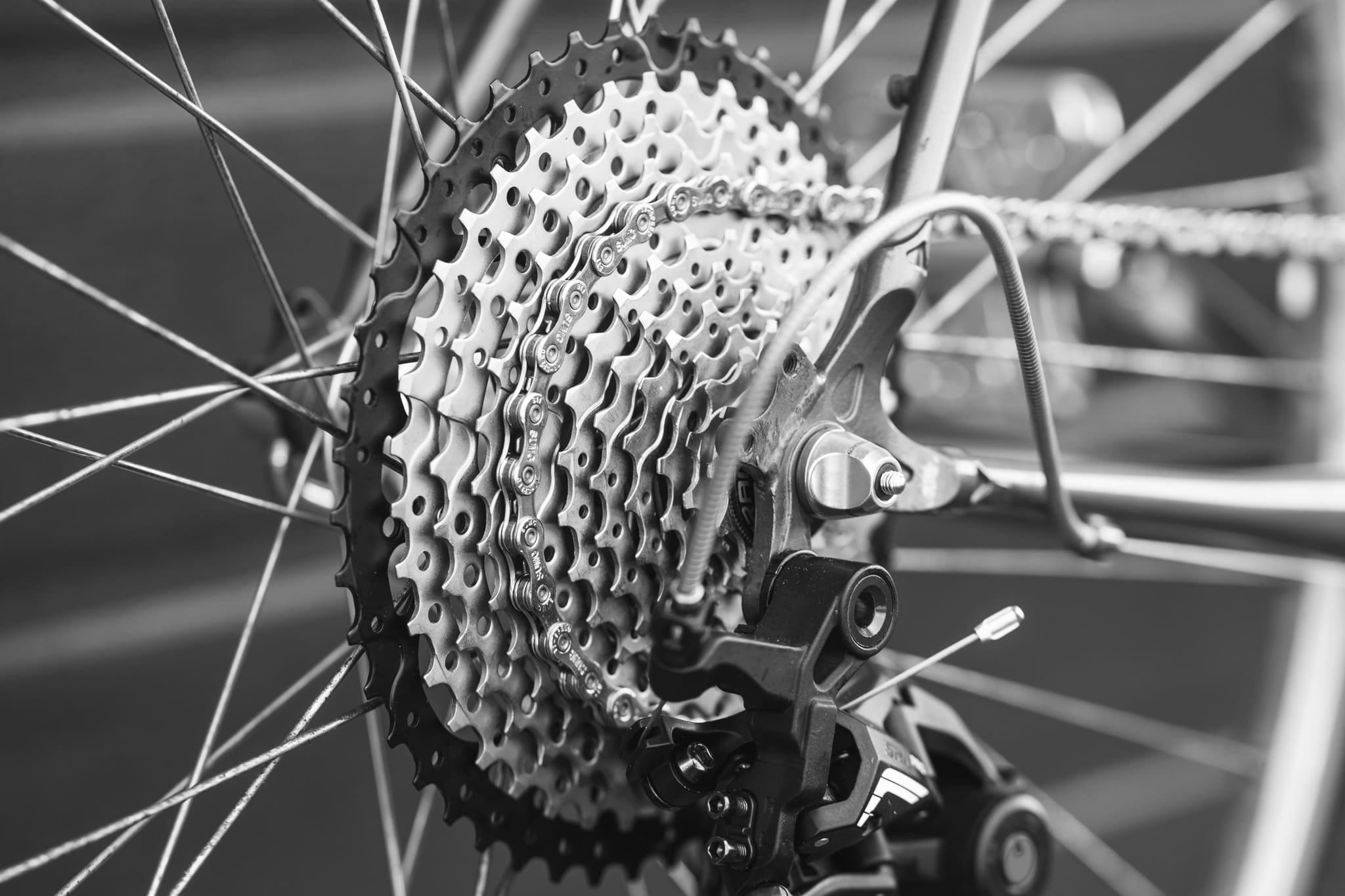 11 Gears Biking