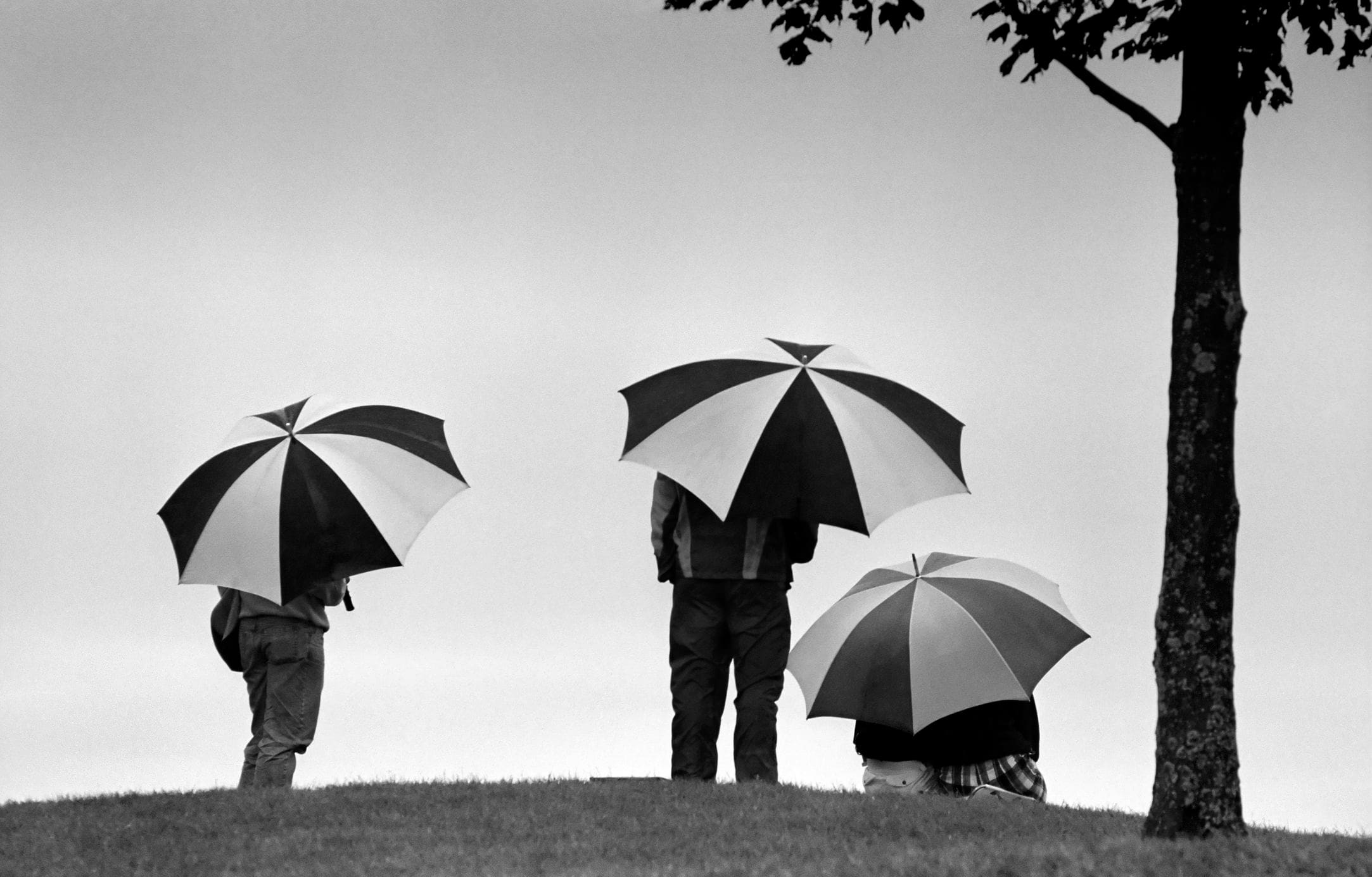 Best Golf Umbrellas for All Weather Conditions