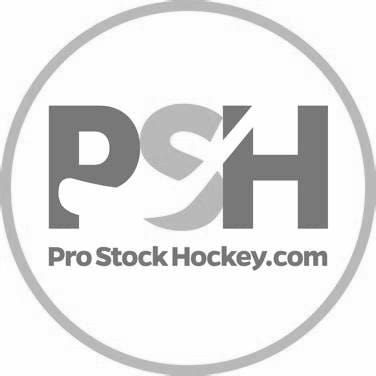 Exploring the World of Pro Stock Hockey