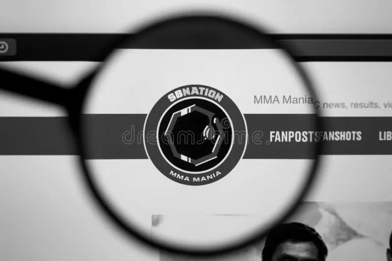 MMA Mania A Fan’s Ultimate Guide