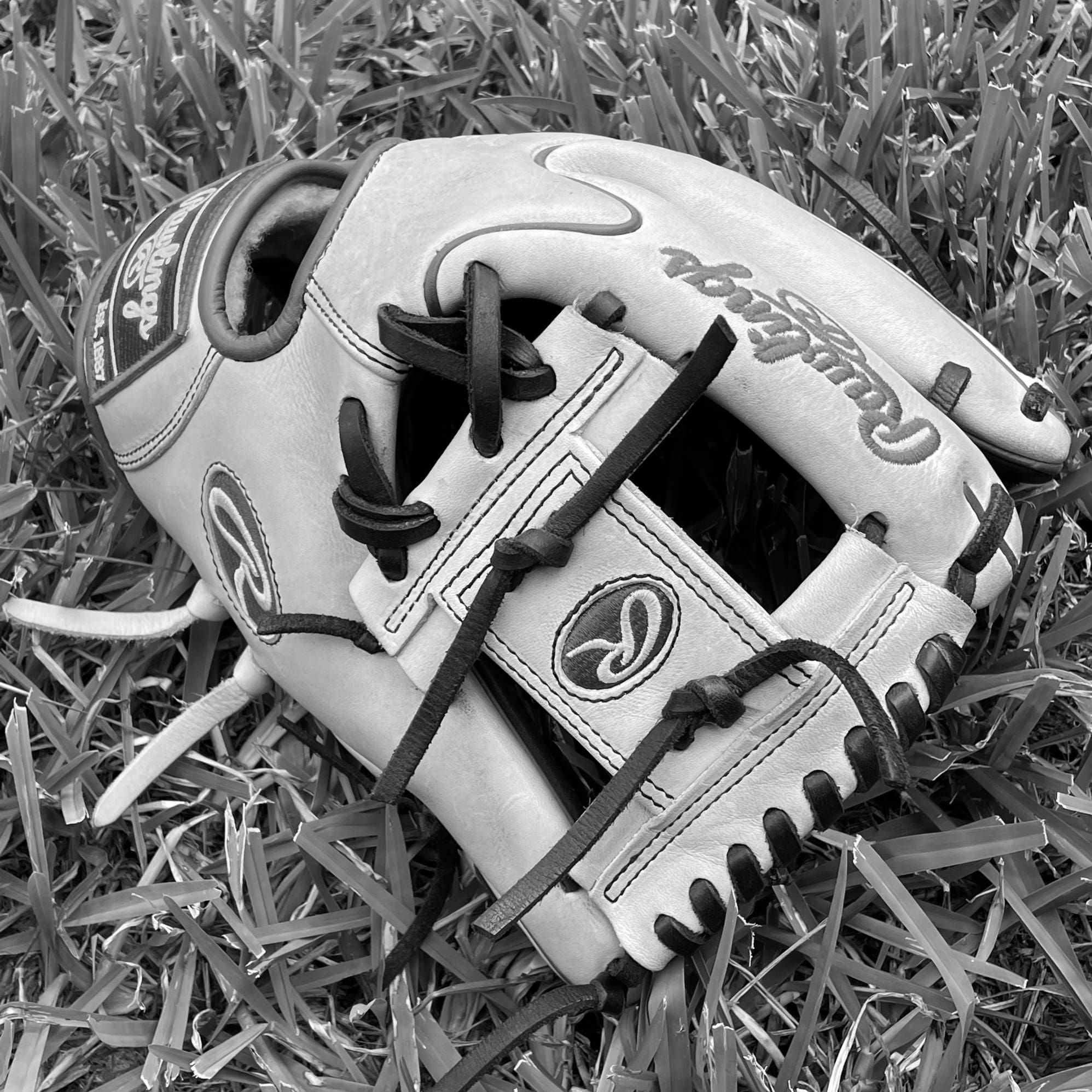 Rawlings Baseball Gloves Features and Benefits