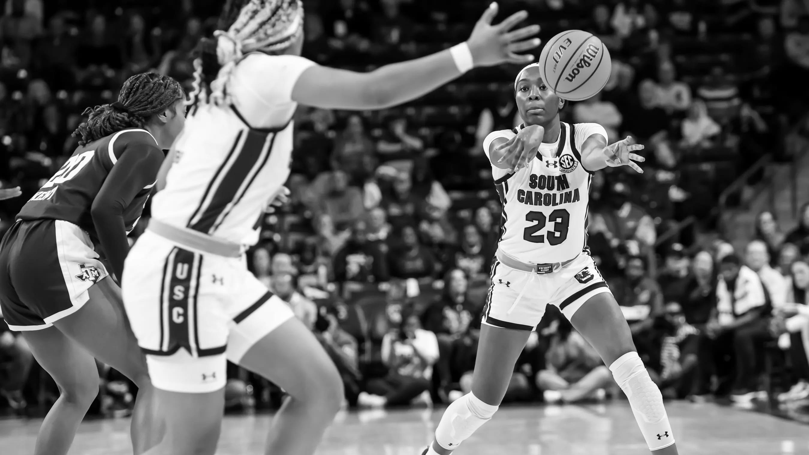 South Carolina Womens Basketball A Legacy of Excellence